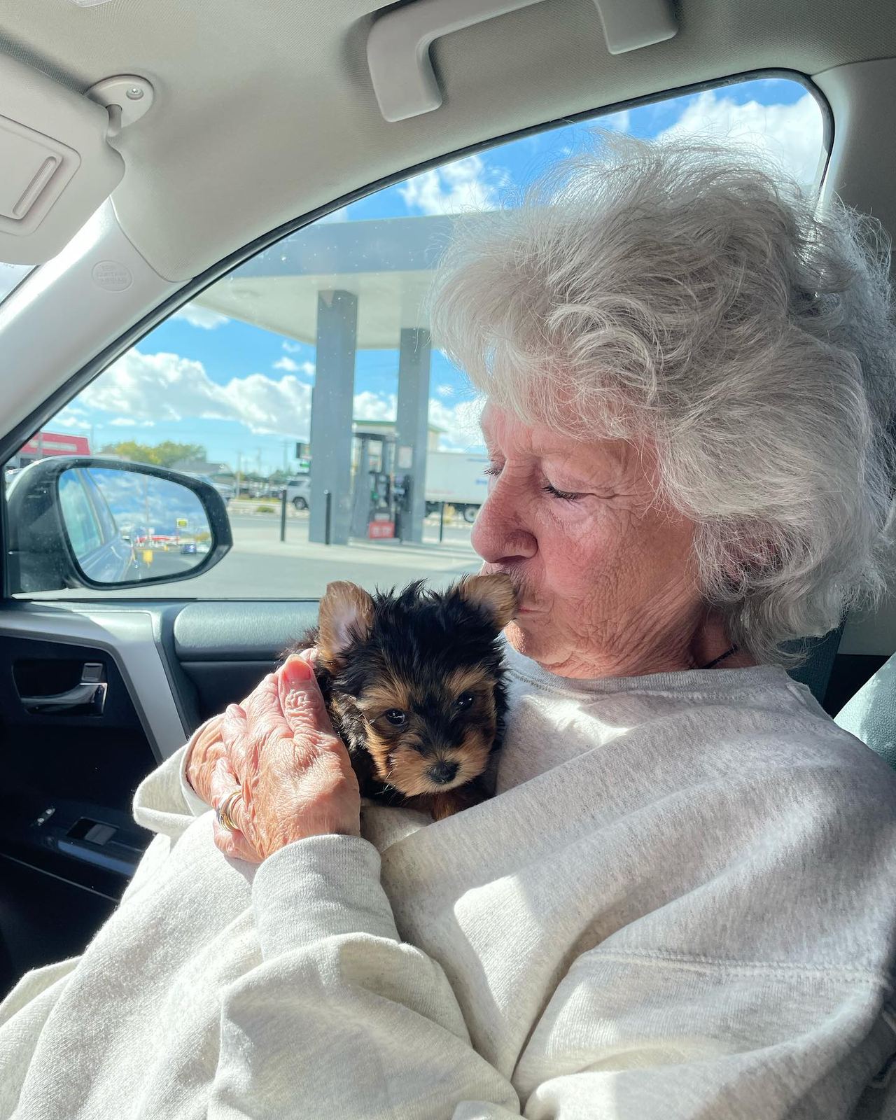 Teacup Yorkie puppy in a forever home