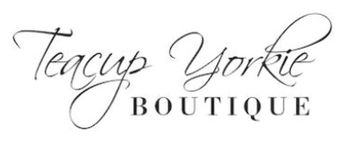 Teacup Yorkie Boutique