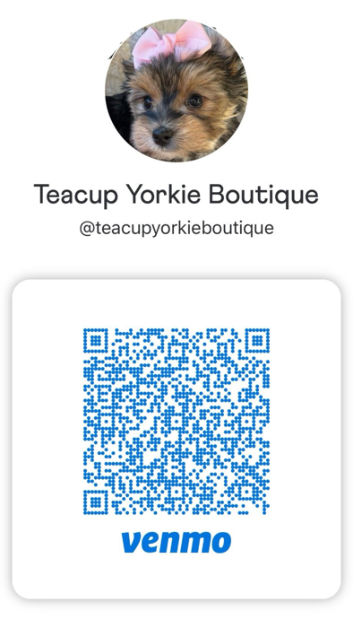 Payment QR code